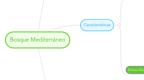 Mind Map: Bosque Mediterráneo