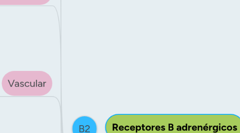 Mind Map: Receptores B adrenérgicos