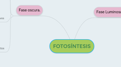 Mind Map: FOTOSÍNTESIS