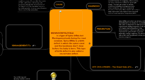 Mind Map: MENINGOMYELOCELE is a type of Spina Bifida but Meningomyelocele being the most common. Spina Bifida is a birth defect in which the spinal canal and the backbone don't close before the baby is born. This type of birth defect is also called a neural tube defect.
