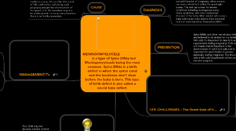 Mind Map: MENINGOMYELOCELE                          is a type of Spina Bifida but Meningomyelocele being the most common. Spina Bifida is a birth defect in which the spinal canal and the backbone don't close before the baby is born. This type of birth defect is also called a neural tube defect.