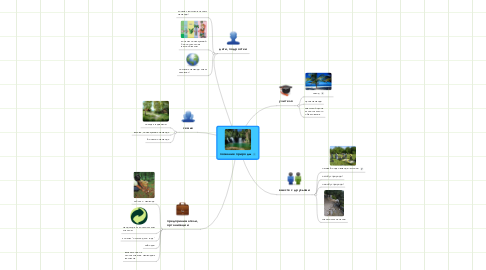 Mind Map: познание природы