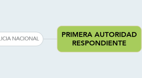 Mind Map: PRIMERA AUTORIDAD RESPONDIENTE