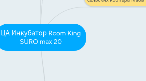 Mind Map: ЦА Инкубатор Rcom King SURO max 20