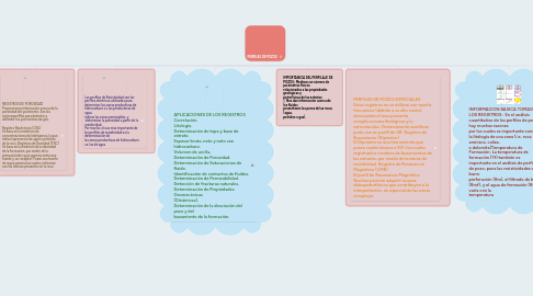 Mind Map: PERFILES DE POZOS
