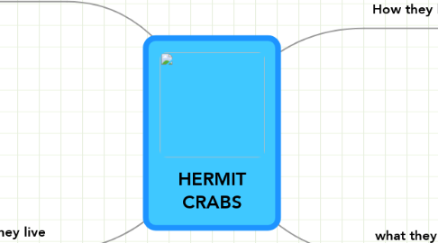 Mind Map: HERMIT CRABS