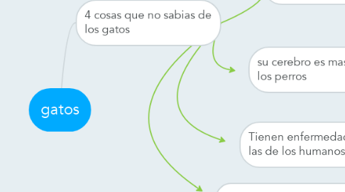 Mind Map: gatos