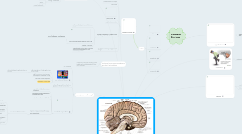 How do bodies map out left and right?