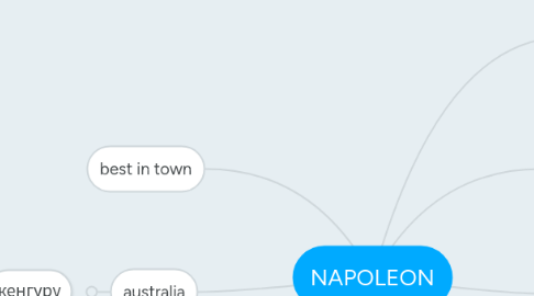 Mind Map: NAPOLEON