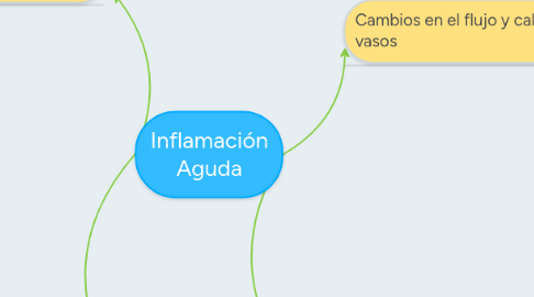 Mind Map: Inflamación Aguda