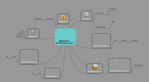 Mind Map: Водобаланс 65-70% массы тела