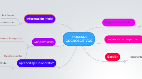 Mind Map: PROCESOS COGNOSCITIVOS