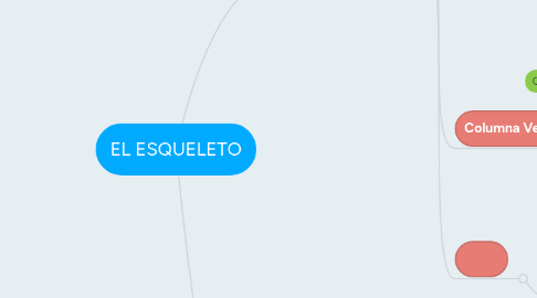 Mind Map: EL ESQUELETO