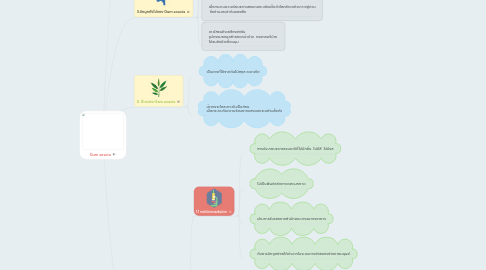 Mind Map: Gum aeacia