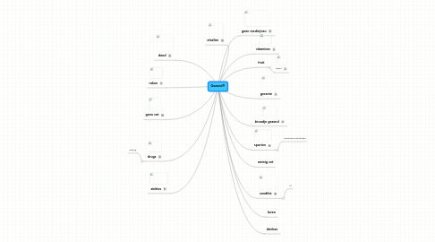 Mind Map: Gezond?!