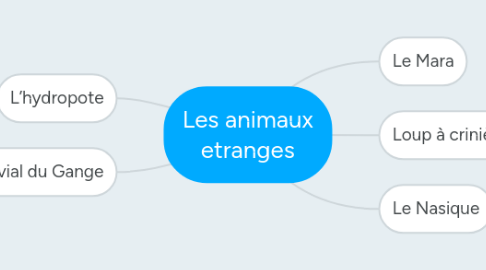 Mind Map: Les animaux etranges