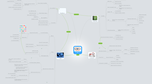 Mind Map: La WEB 2.0