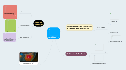 Mind Map: LA CÉLULA