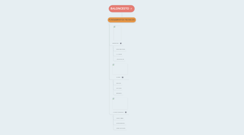 Mind Map: BALONCESTO