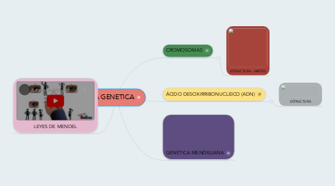 Mind Map: LA GENETICA