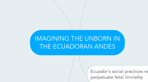 Mind Map: IMAGINING THE UNBORN IN THE ECUADORAN ANDES