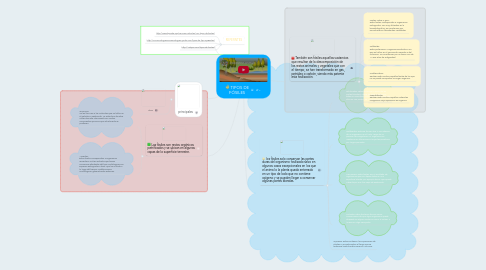 Mind Map: TIPOS DE FÓSILES