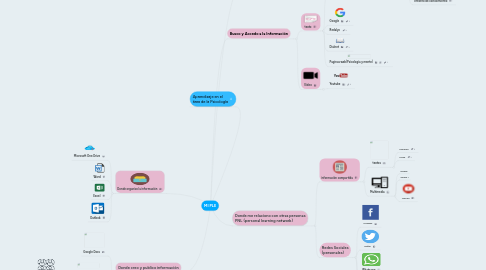 Mind Map: MI PLE