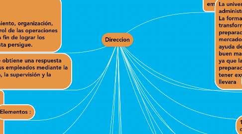 Mind Map: Direccion