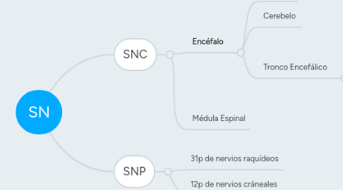 Mind Map: SN