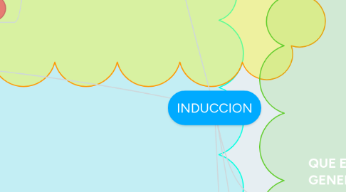 Mind Map: INDUCCION