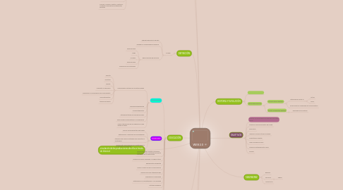 Mind Map: WEB 2.0