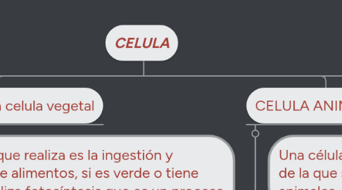 Mind Map: CELULA