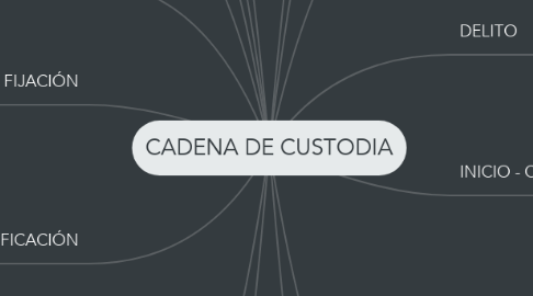 Mind Map: CADENA DE CUSTODIA