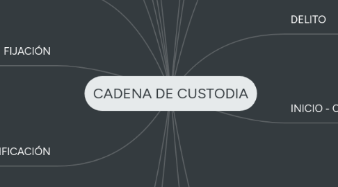 Mind Map: CADENA DE CUSTODIA