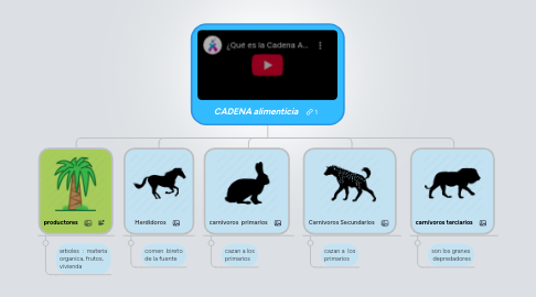 Mind Map: CADENA alimenticia