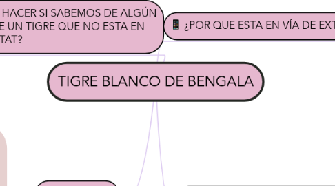 Mind Map: TIGRE BLANCO DE BENGALA