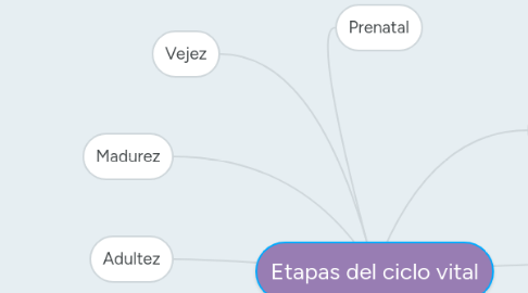 Mind Map: Etapas del ciclo vital