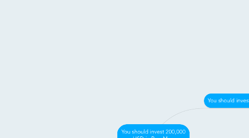 Mind Map: You should invest 200,000 USD in PropMap