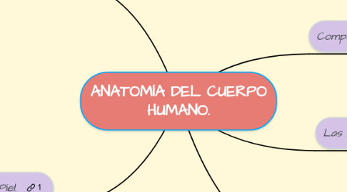 Mind Map: ANATOMÍA DEL CUERPO HUMANO.