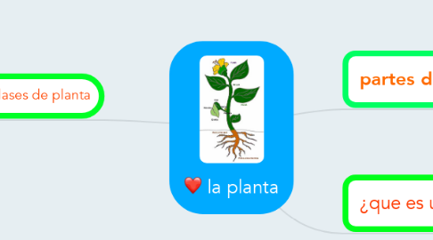 Mind Map: la planta