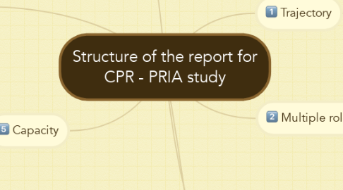 Mind Map: Structure of the report for CPR - PRIA study