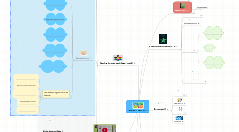 Mind Map: Definición DI Carolina Ruiz