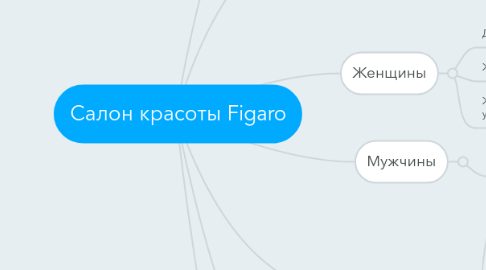 Mind Map: Салон красоты Figaro