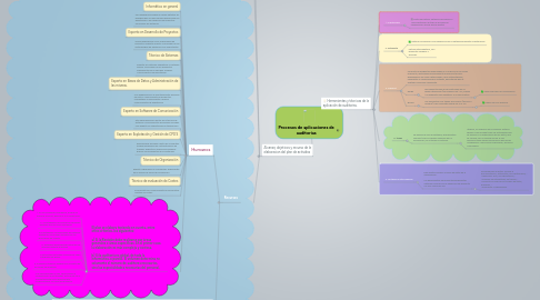 Mind Map: Procesos de aplicaciones de auditorias