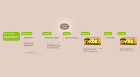 Mind Map: Evolución Humana