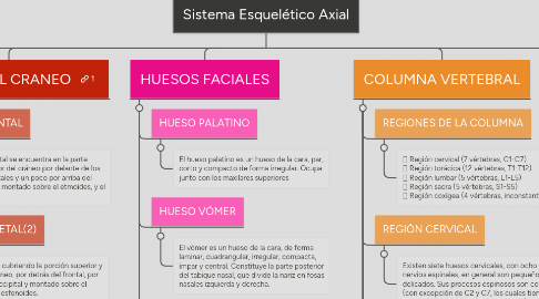 Mind Map: Sistema Esquelético Axial