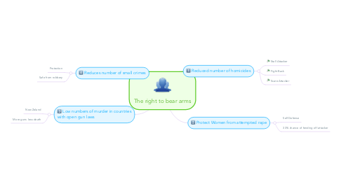 Mind Map: The right to bear arms