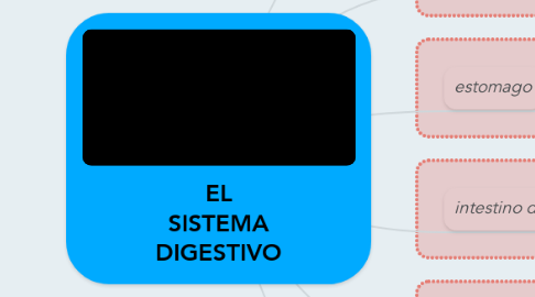 Mind Map: EL SISTEMA DIGESTIVO