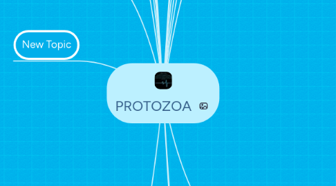 Mind Map: PROTOZOA