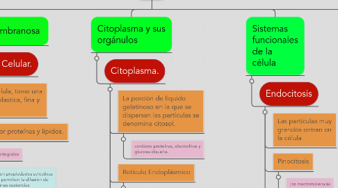 Mind Map: Célula